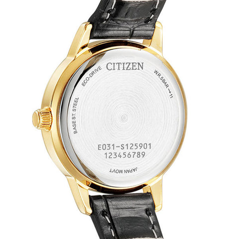 CITIZEN Collection EM0932-10A eco-drive 5bar watch